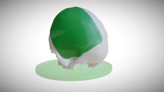 Biokranion 0000 3D Model