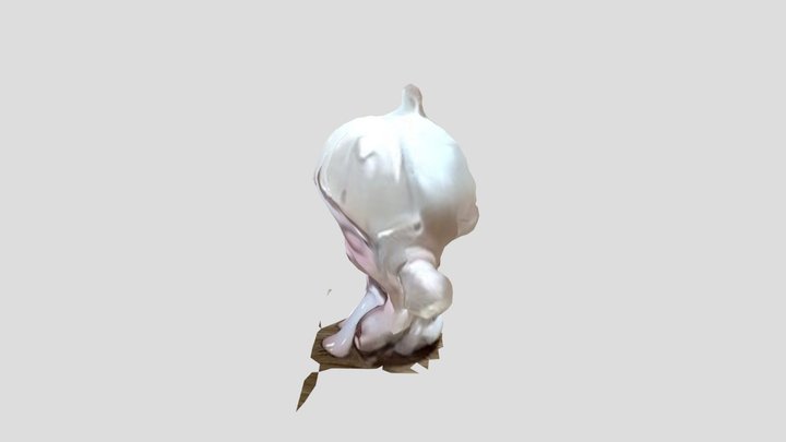 skull 3D Model