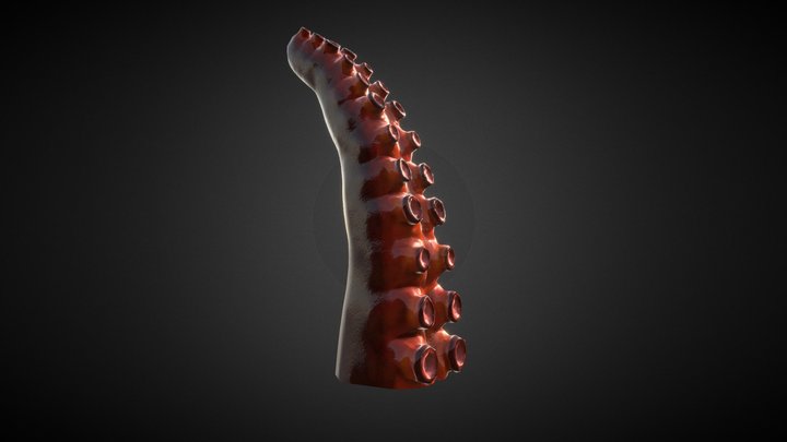 Tentacle 3D Model