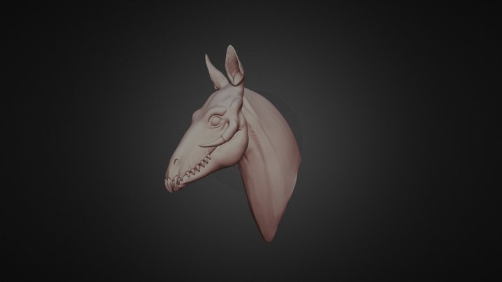 Torus 3D Model