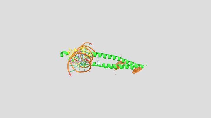 C/EBPa complex with cognate DNA site 3D Model