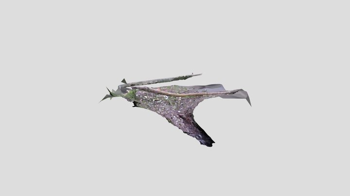 Badger sett hole, tree branches – Modèle 3D gratuit STL