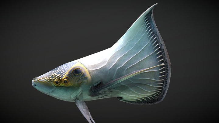 Alien Fantasy Fish - Solar Fin 3D Model