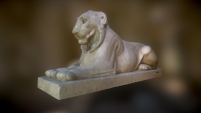 Laying Lion