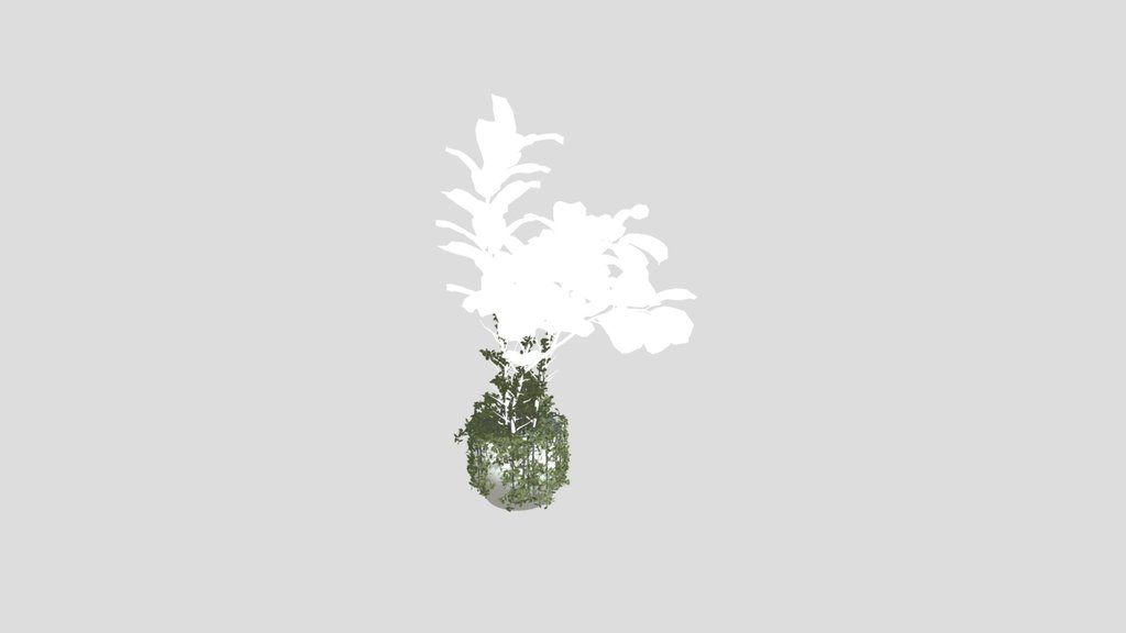 Plant 7 From Vip Collection