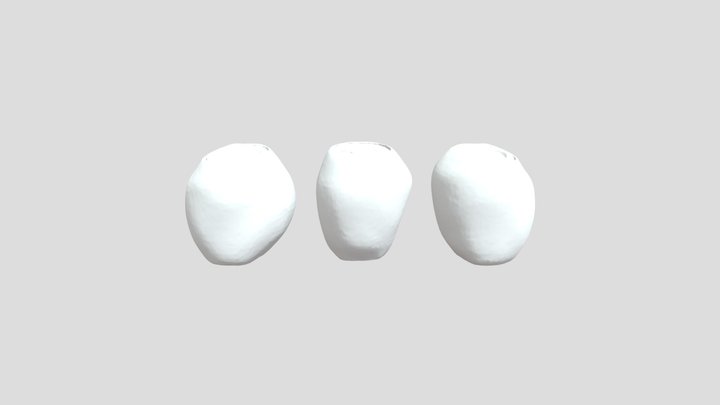 Recycling Shadows 3D Model