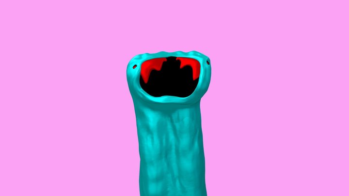 Cat Hookworm / Parasite 3D Model