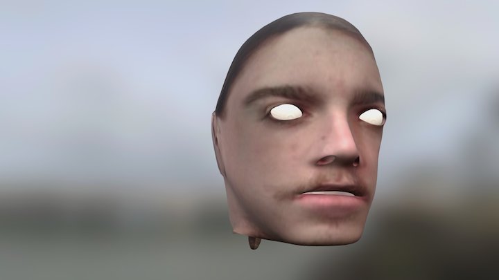 Mi Cara 3D Model