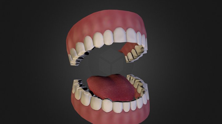 Mouth 3D Model
