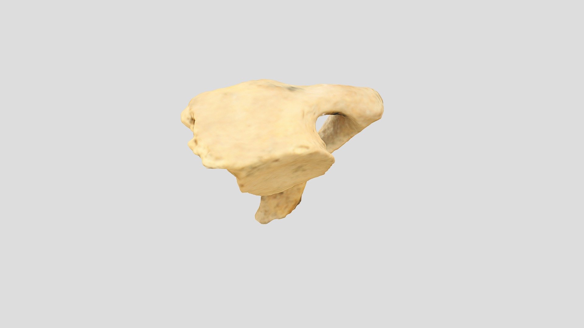 Qasr Hallabat Cistern vertebra 8