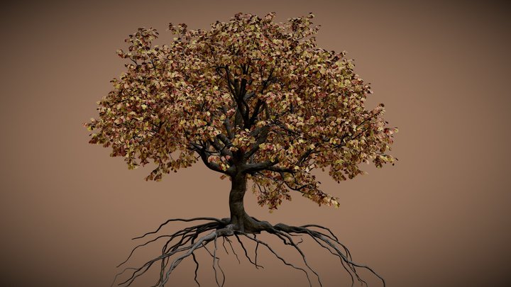 Oak Autumn Tree – Modello 3D gratuito STL