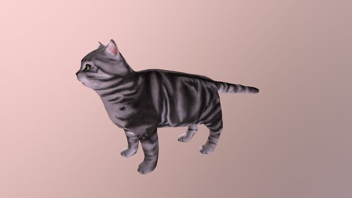 Real Cat 3D Model