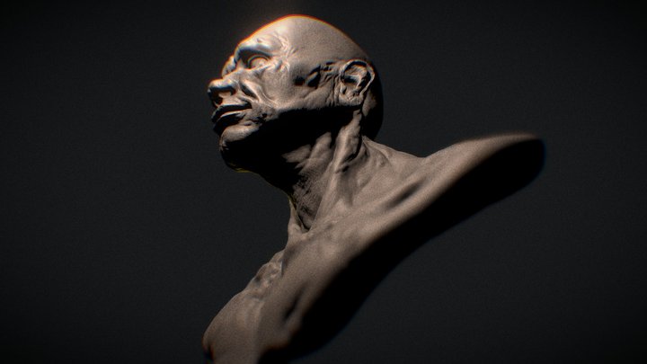 Boxer 3D Model