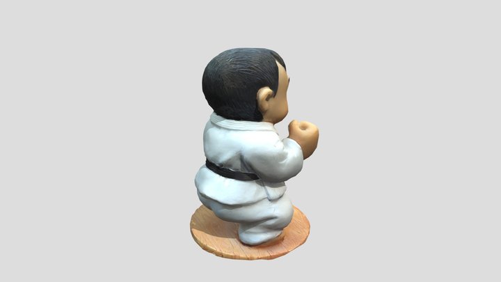 Judoka 3D Model