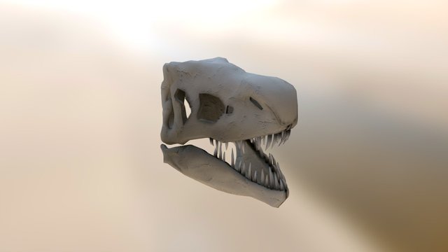 T- Rex Scull 3D Model