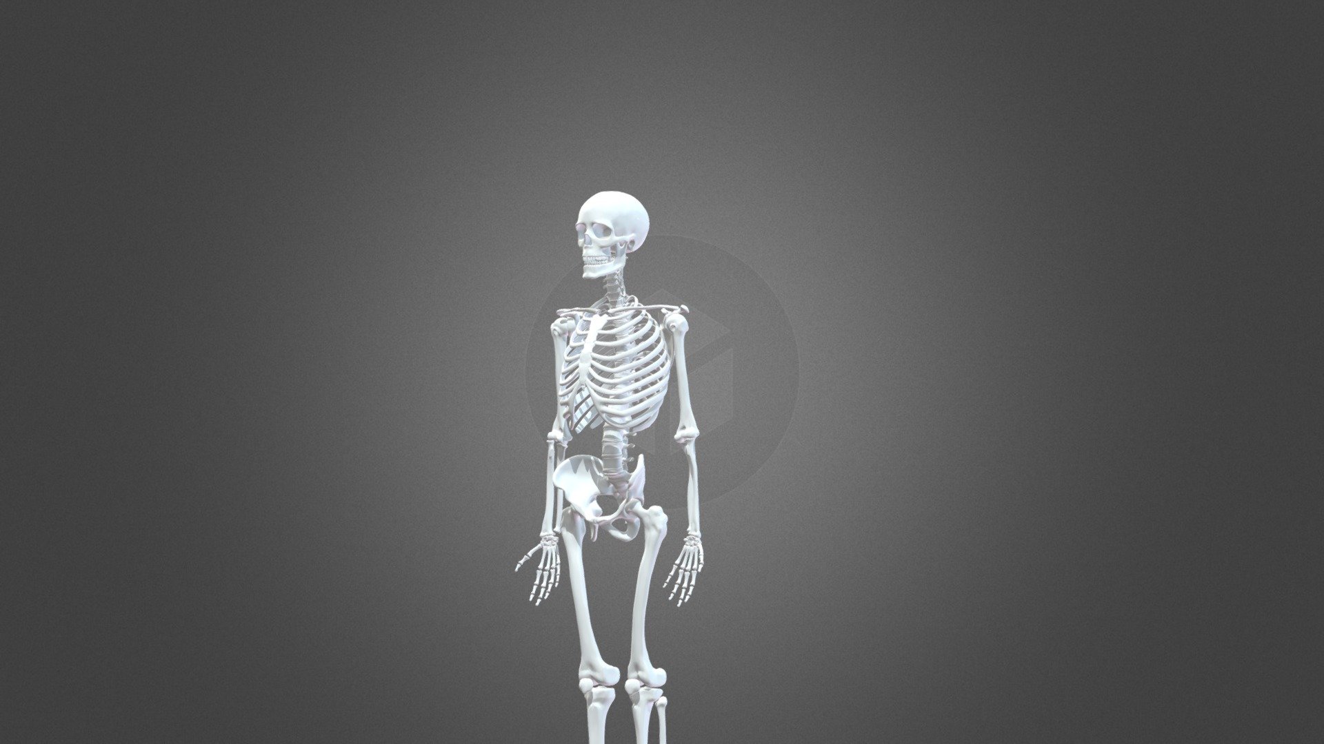 discord download pfp