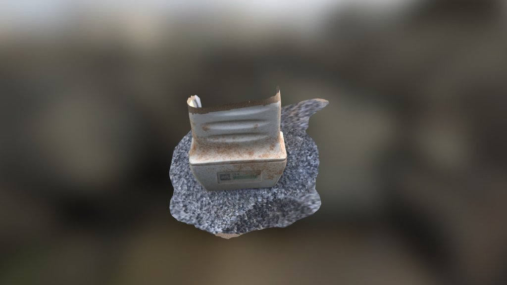 A TRNIO Model