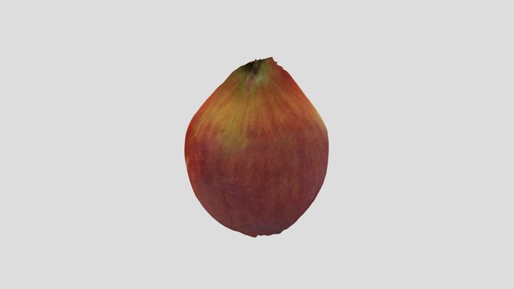 Hello world Apple 3D Model