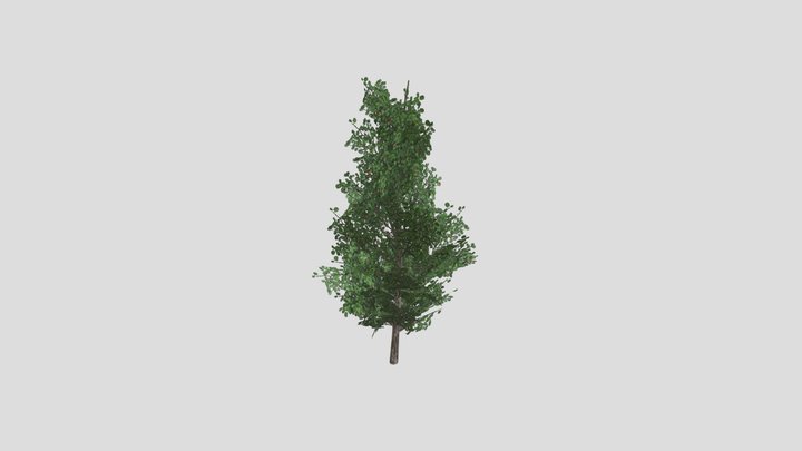 BlackAlder5 3D Model