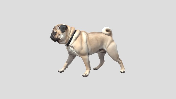 Pug In Profile – Kostenloses 3D-Modell STL
