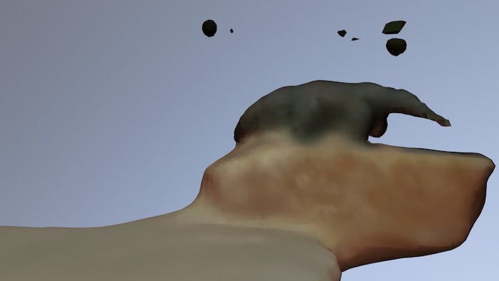 Anteater on Rock 3D Model