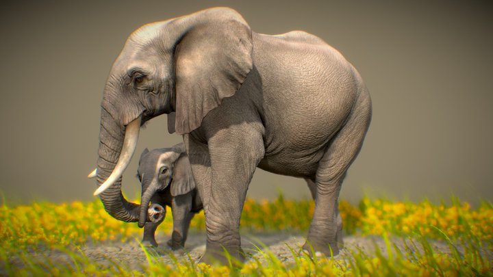 Affection 3D Model