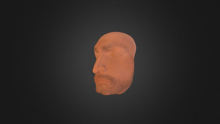 face_study 3D Model