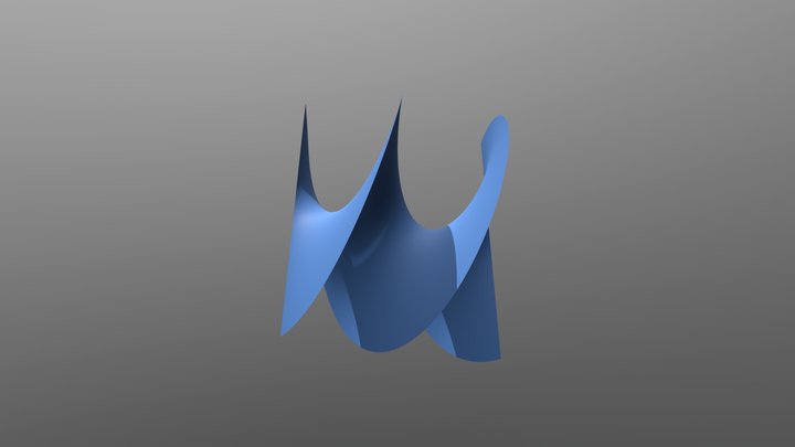 Helicoidal 3D Model