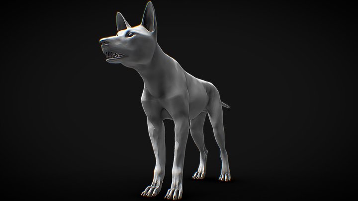 Canine Model 3D Model