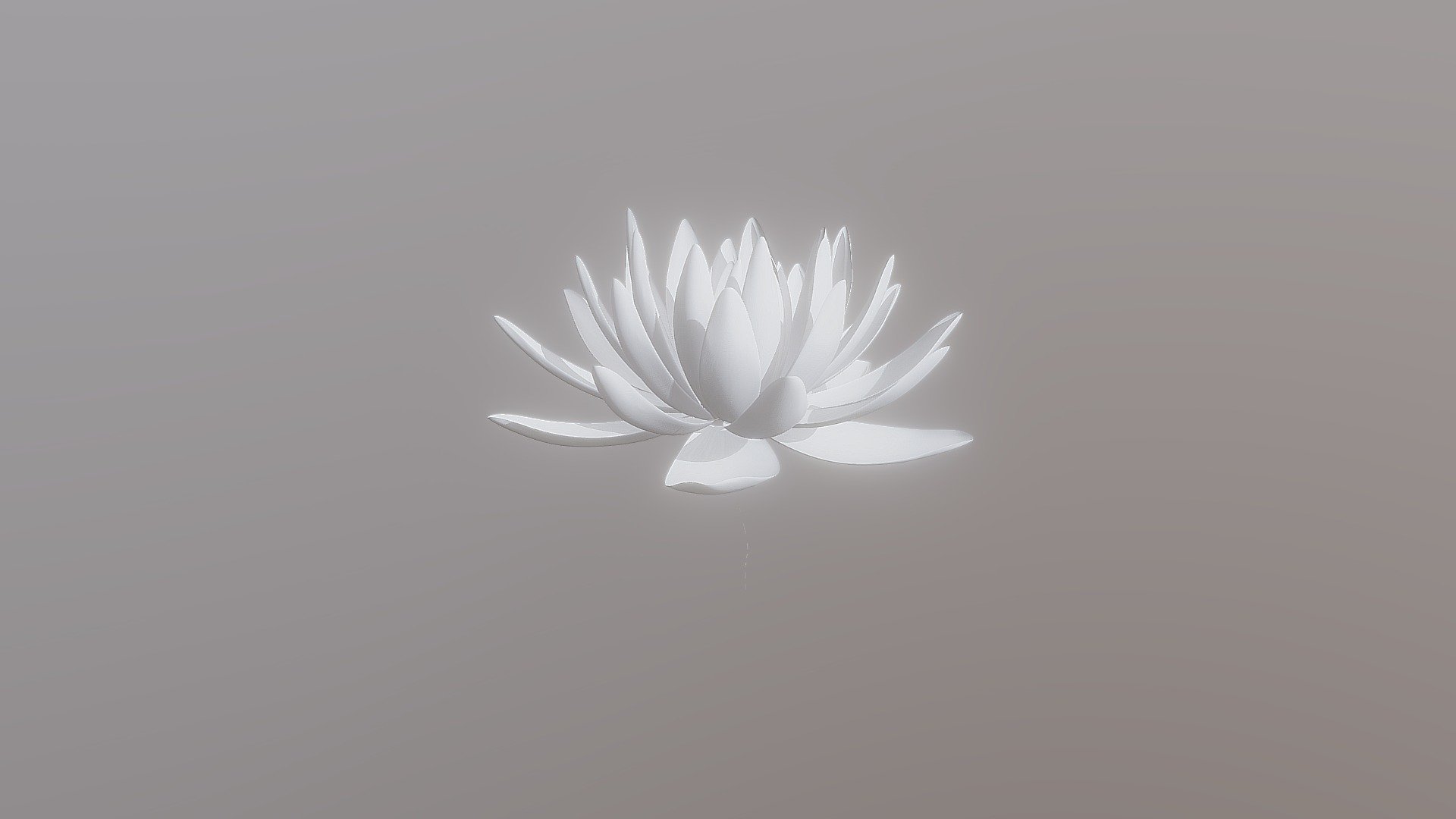 36 - Lotus
