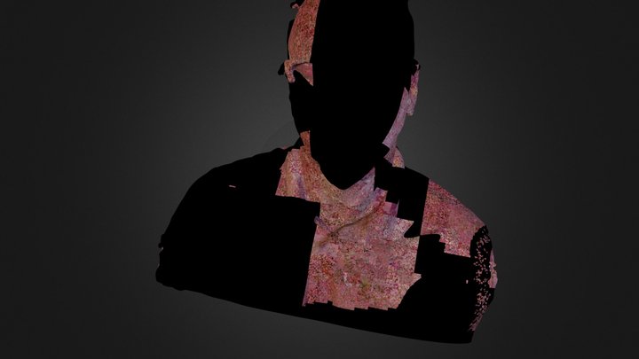 Tony 3D Model