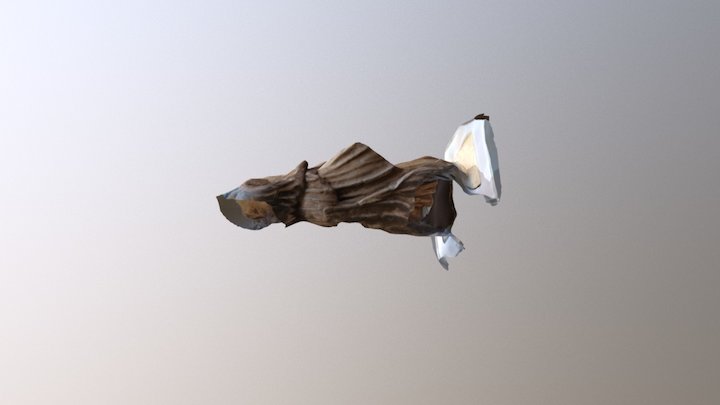 Enlèvement 3D Model