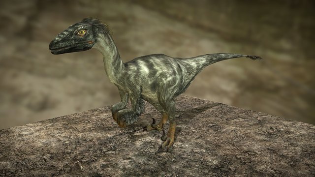 Dromaeosaurus 3D Model