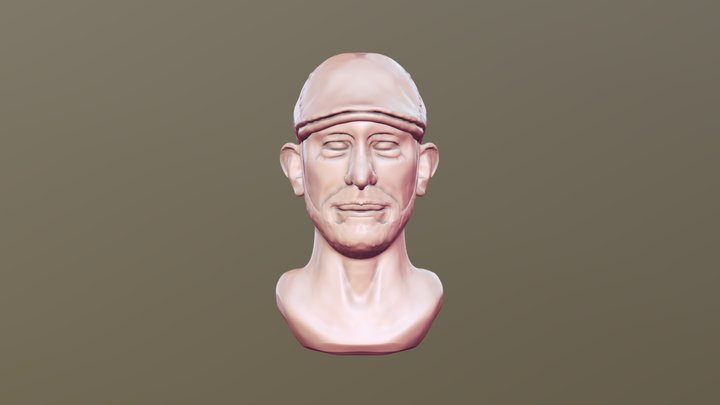 Stephen Silver Bust 3D Model