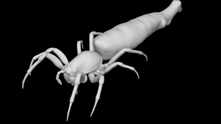 Cyclosa – Kostenloses 3D-Modell STL