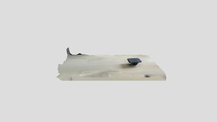 Scan 2023-05-30T12:29:09.649Z 3D Model