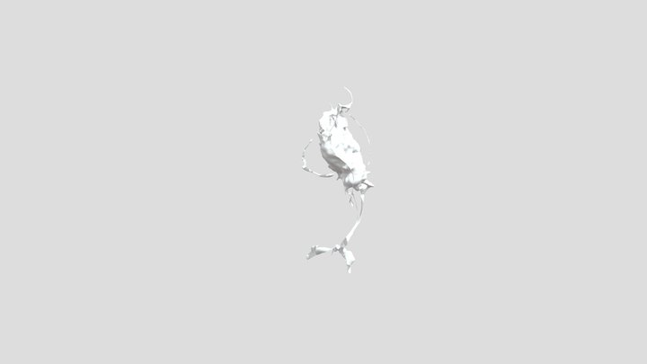 ENTANGLEMENT 3D Model