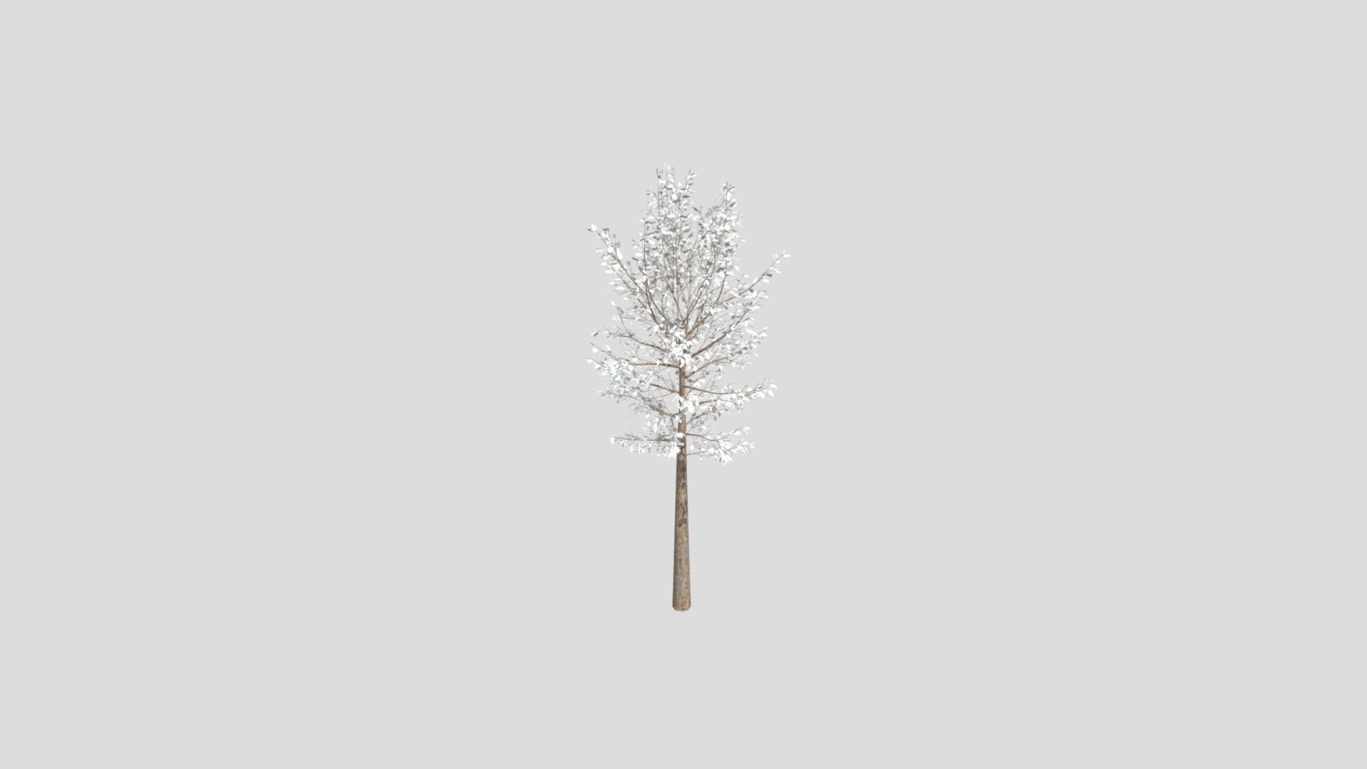 Street Tree - 3D model by tourpatemfound19 [5eb2534] - Sketchfab