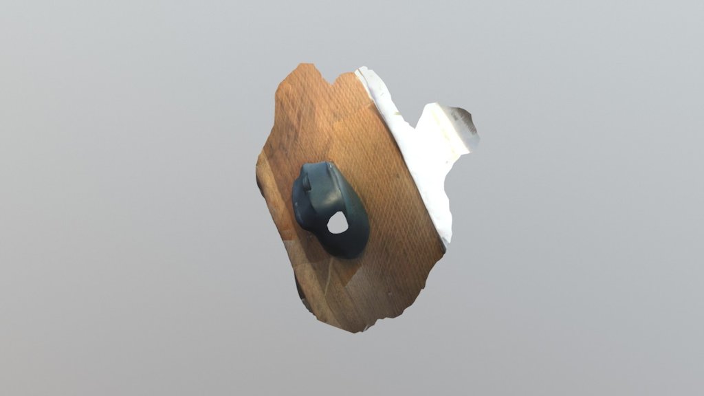 Mouse