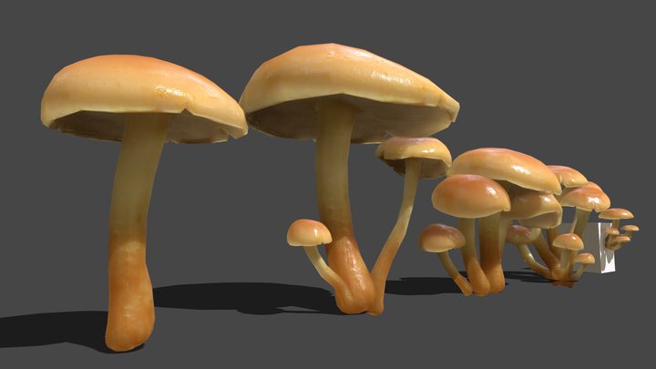 Mushroom_2 3D Model