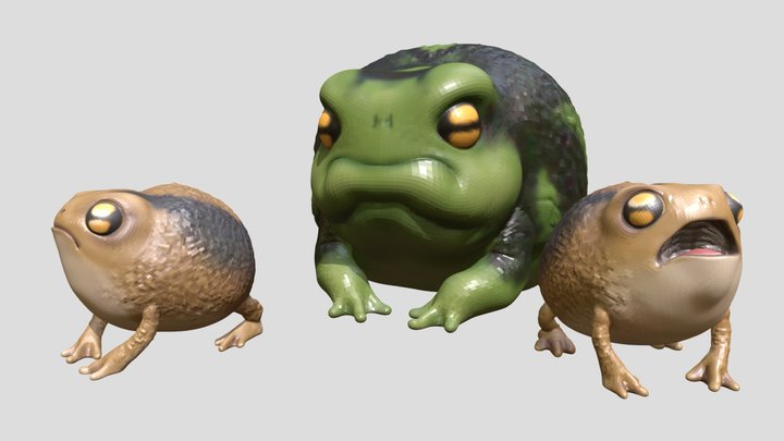 Namaqua Rainfrogs 3D Model