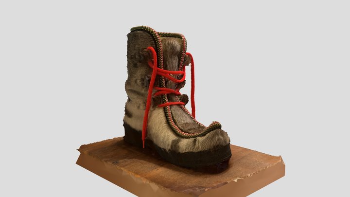 Topaz Boot 3D Model
