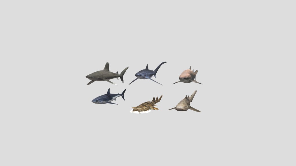 6 low poly sharks (Mako, Whitetip, Thresher etc)