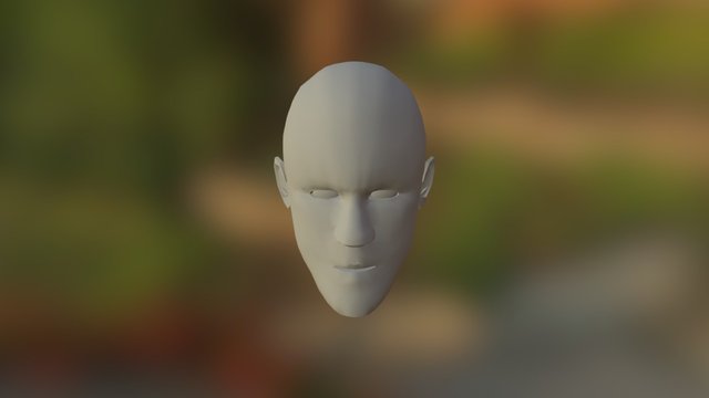 Head 3D Model