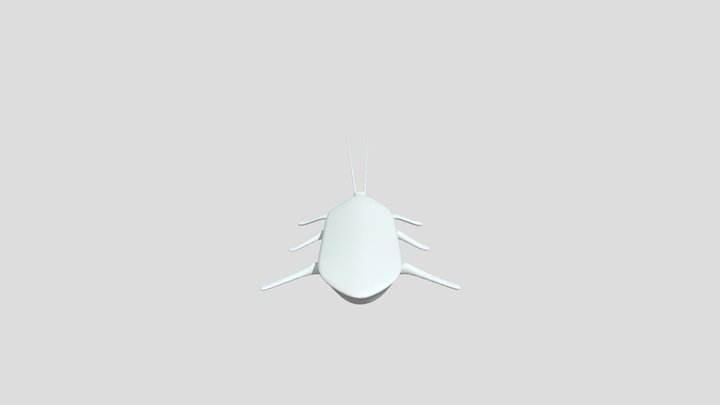 Cockroach 3D Model