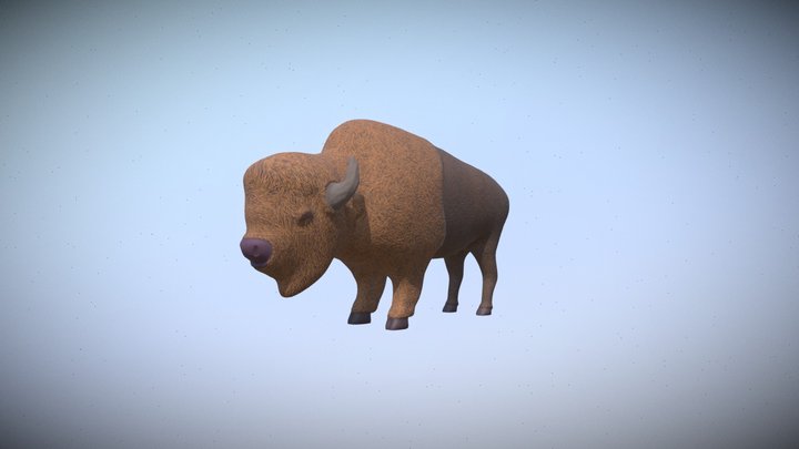 American Bison 3D Model