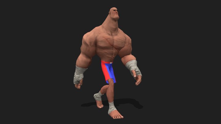 Toon Fighter - 3D Model 3D Model