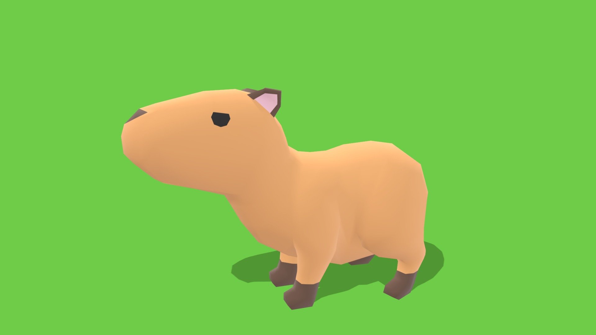 Capybara - Animated Low Poly - Download Free 3D model by WildPoly3D ...