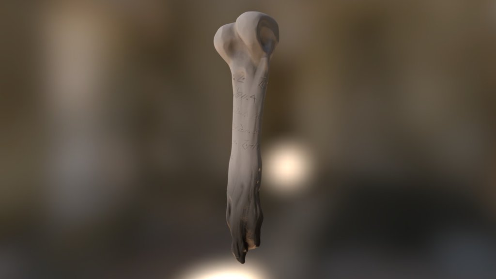 Nyungar Bone
