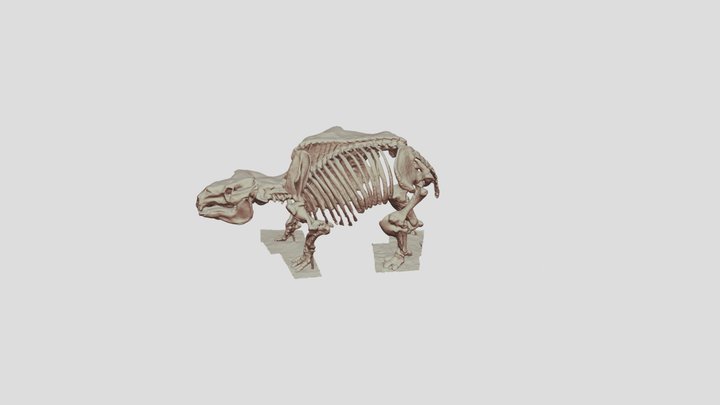 Toxodon-NSM 3D Model
